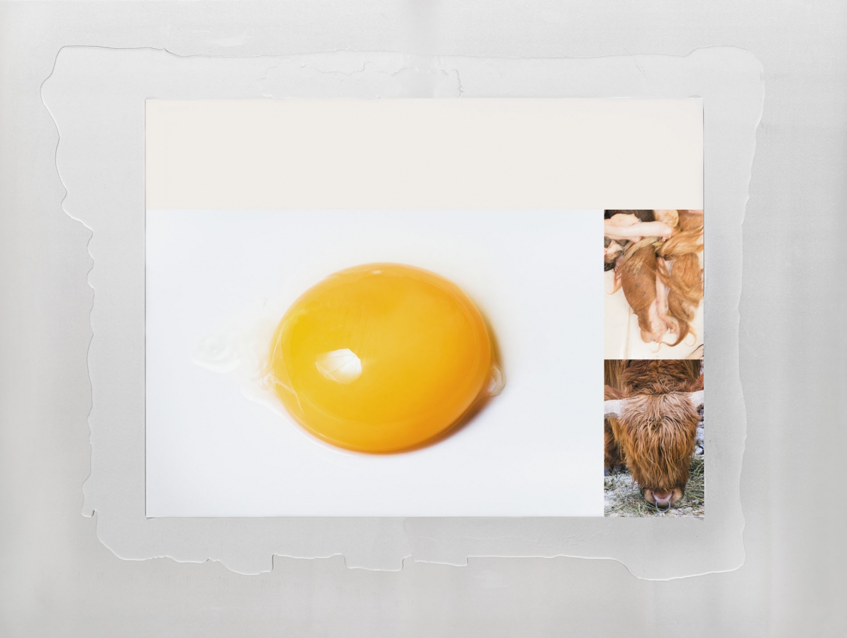 Overpromised, Underdelivered, 2017, 120 x 160 cm, C-Print, aluminium, resin